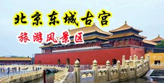 www.13cao.com为什么看不了电影了中国北京-东城古宫旅游风景区